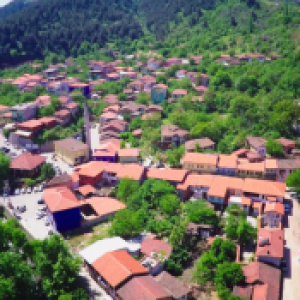Misi Village 